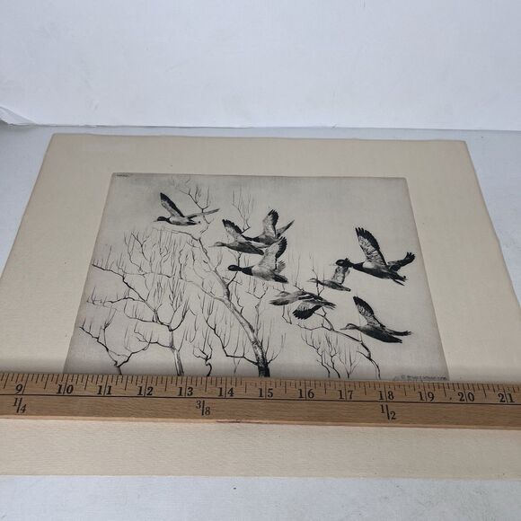 Robert E Bishop Through The Willows Etching 1936 Framed Vintage Wildlife Print - Picture 12 of 14